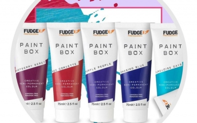 Go Bold or Go Home: Fudge Paintbox
